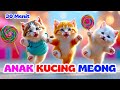 Anak Kucing Meong Meong Lagu Anak Indonesia Populer Si Meong Kucing Lucu 30 Menit