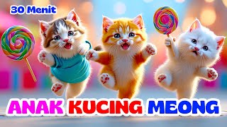 Download lagu Anak Kucing Meong Meong - Lagu Anak Indonesia Populer - Si Meong Kucing Lucu 30 Menit mp3
