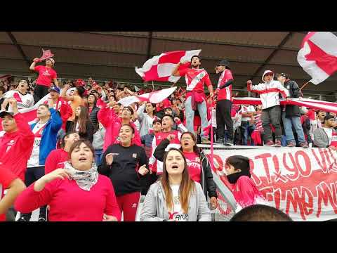 "Soy del club de la ciudad del vino Tinto y la hierva vamos albirro vamos a ganar" Barra: Los Marginales &bull; Club: Curicó Unido