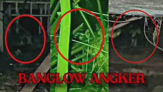 Download lagu BANGLOW ANGKER FARAH - HANTU BUDAK TAKDE KEPALA | Paranormal DZP Dauz | KEPALA MENGINTAI TEPI POKOK! mp3