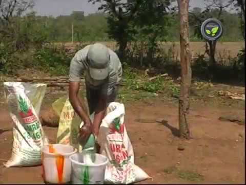 Adverse Effects of  Chemical Farming