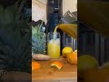 Fresh Tropical Orange Juice 🫚 Juicing Recipe