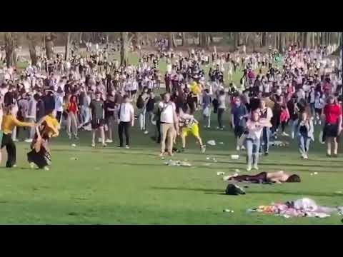 Polizeipferde ohne Rücksicht auf Verluste