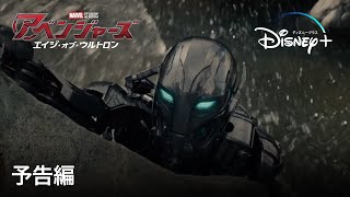 アベンジャーズ/エイジ・オブ・ウルトロン | 予告編 | Disney+ (ディズニープラス）