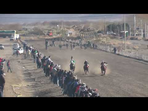 DESPRECIADO  Club Hípico Añelo - Añelo - 16-07-2023