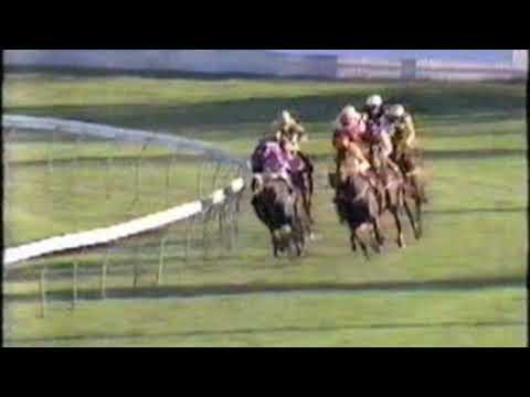 1987 All Aged Stakes - Campaign King