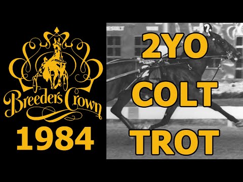 1984 Breeders Crown -  Workaholic - 2YO Colt Trot