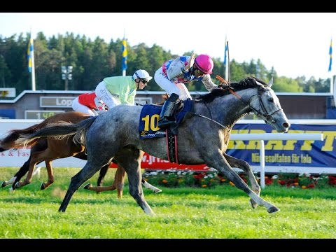 Icecapada Dianalöpning 2015