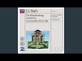 J.S. Bach: Brandenburg Concerto No. 3 in G Major, BWV 1048 - I. [Allegro]