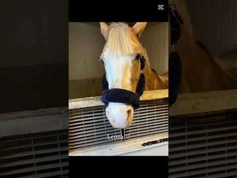 Min första video!!!