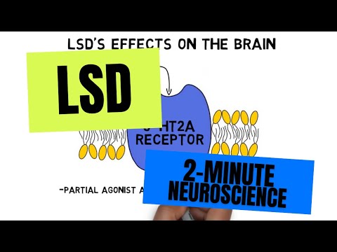 2-Minute Neuroscience: LSD