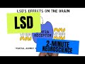 2 Minuten Neurowissenschaft LSD
