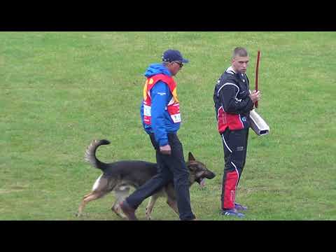 WUSV 2021  ITA 4 - FRISON MAURO  & INDIO DELL'ALTOPIANO C 95