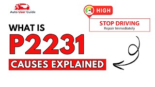 OBD Code p2231 Guide to Repair