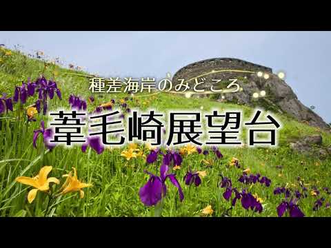 みちのく潮風トレイル「葦毛崎展望台」
