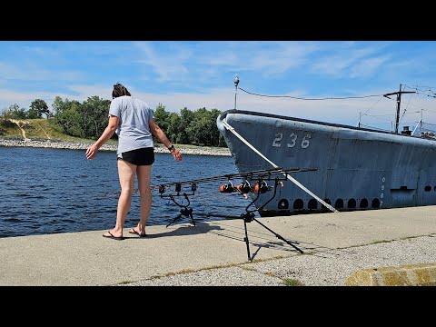 🔴 Live Show fishing for submarine size carp (Lake Michigan)