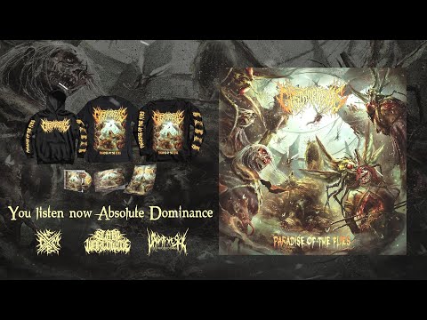 GASTRORREXIS - ABSOLUTE DOMINANCE [SINGLE] (2020) SW EXCLUSIVE