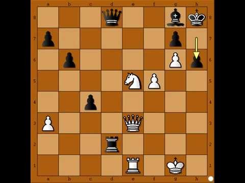 Promocija pesaka u Skakaca - MARSCHALL vs NAPIER - (pozicija 24) # 561