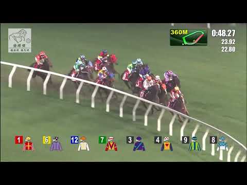 港經佬賽事重溫｜15-12-2021 谷草夜馬第八場賽事重溫 (260)｜銘記知心 A.S.L.Y (E089)｜莫雷拉 J Moreira｜蔡約翰 J Size｜免費心水及賽馬貼士