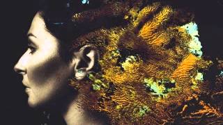 Steven Wilson - Ancestral (Ninet Edit)