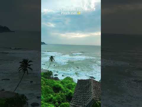 Currently living in a postcard. Pinch me ❣️ #goavibes #travelvlog #nature #beachvibes #viral #shorts