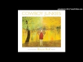 Cowboy Junkies : A Walk In The Park