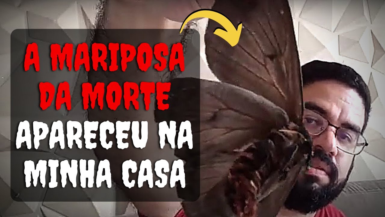 A Mariposa da Morte apareceu aqui em casa! O que significa? [Lendas Urbanas]