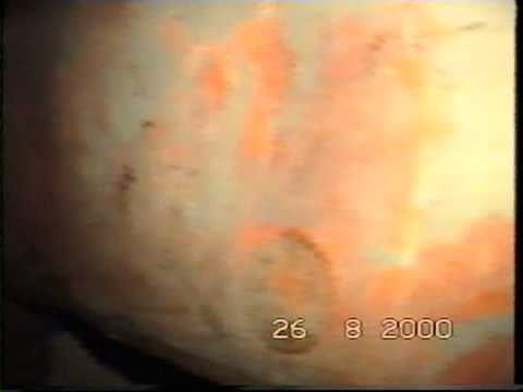 TAJEMNICE BIAŁEGO BORU  perełka! Dom z bunkrem w środku