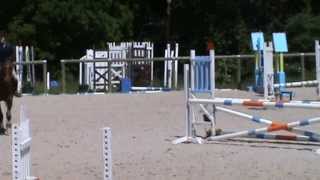 preview picture of video 'Harpallo   CSO 02 Juin 2013'