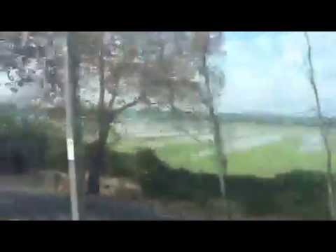 Treno TRAIN FARA SABINA -  FIUMICINO AEROPORTO  VICINO MONTEROTONDO AIRPORT