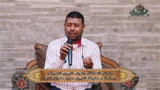 عطر الله روض المصطفى بشائر الاحتفال بالمولد النبوي بمضيفة الدح