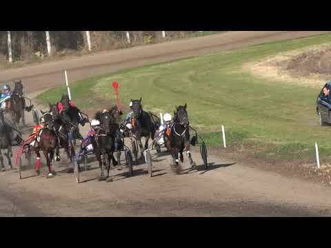 Trka "II kasačka trka" 31.10.2021 Apsolutna - Branislav Mukić