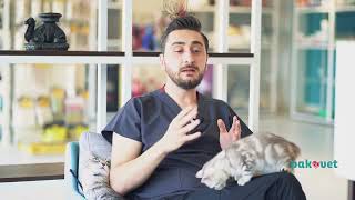 Bursa Pakvet Klinik De Hangi Hizmetleri Veriyoruz? #içdışparazitbursa 