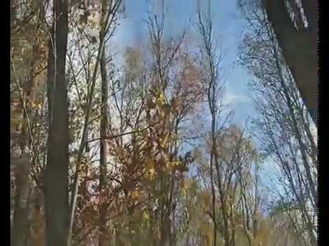 Poitín Wish CD sampler