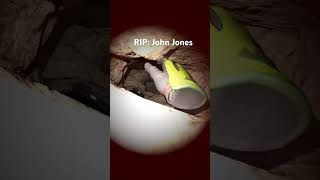 The final resting place of John jones in the nuttyputty cave #viral #rip #fyp #cave