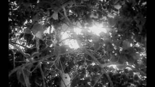 Jasmine and Rose- Clan of Xymox