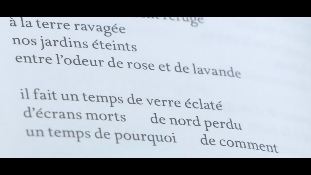 Entretien avec Hélène Dorion autour du livre "Mes forêts" et de sa démarche créatrice.