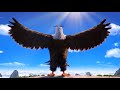 IM DA BIGGEST BIRD ️