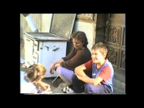 Am ibomnjika frumuosa-Paun Ilić Tanda Bor  2003.1