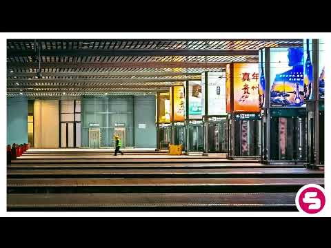 Farzin Salehi - Siren In The Night