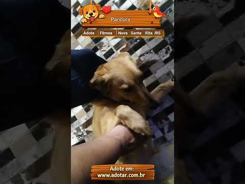 Vídeo de Pandora 
