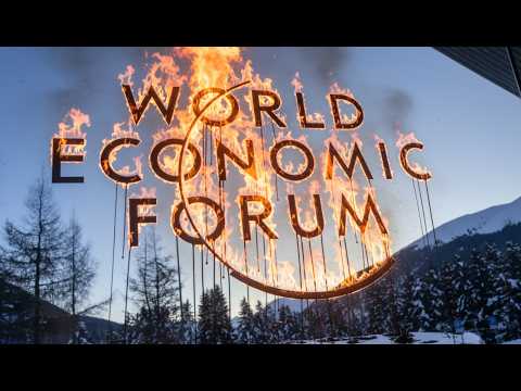 The Globalist Regime is Burning Down!