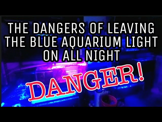 YouTube video preview