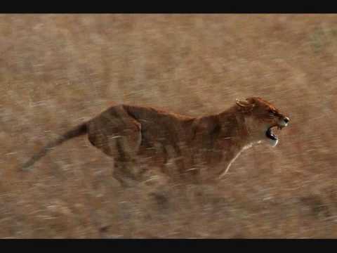 download lagu mp3 mp4 Ghosts On Tape Predator Mode, download mp3 Ghosts On Tape Predator Mode free download mp3, download mp3 Ghosts On Tape Predator Mode