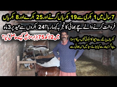 , title : 'Goat Farming in Pakistan | Cross Rajanpuri Goats Farming | How to Start Goat Farm | Goat Business'