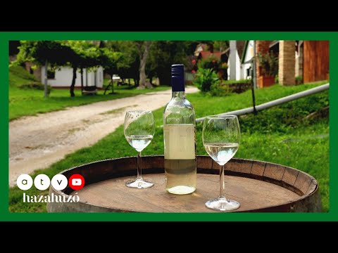 HAZAHÚZÓ – Neszmély és Dunaalmás értékei