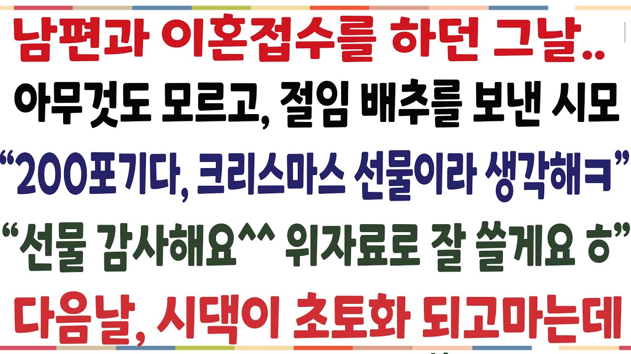 (반전신청사연)남편과 이혼접수 하던 그날 아무것도 모르고 절임배추를 보낸 시모 "200포기다 크리스마스 선물이라 생각해" 선물 감사해요 위자료로[신청사연][사이다썰][사연라디오]