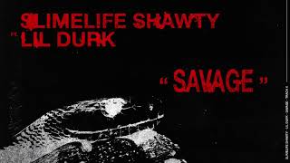Savage Music Video