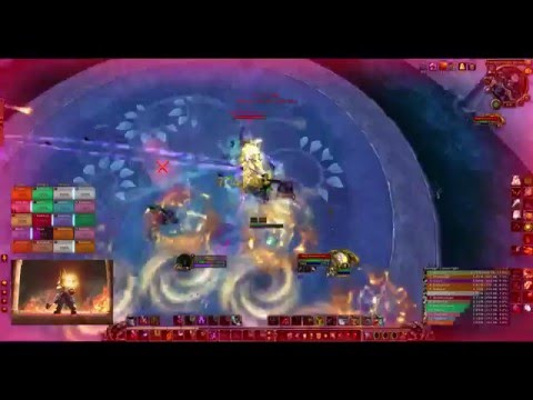 Heroic High Botanist Tel'arn - Havoc Demon Hunter POV