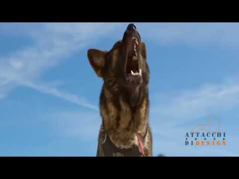 CNSAS Corpo Nazionale Soccorso Alpino e Speleologico